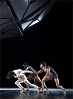 jardin-infinito-ballet-teatro-real-madrid-2010.jpg